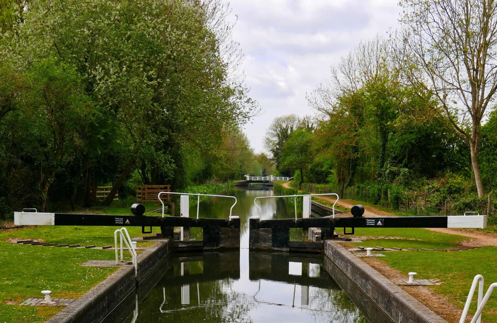 shutterstock 686313829 crop