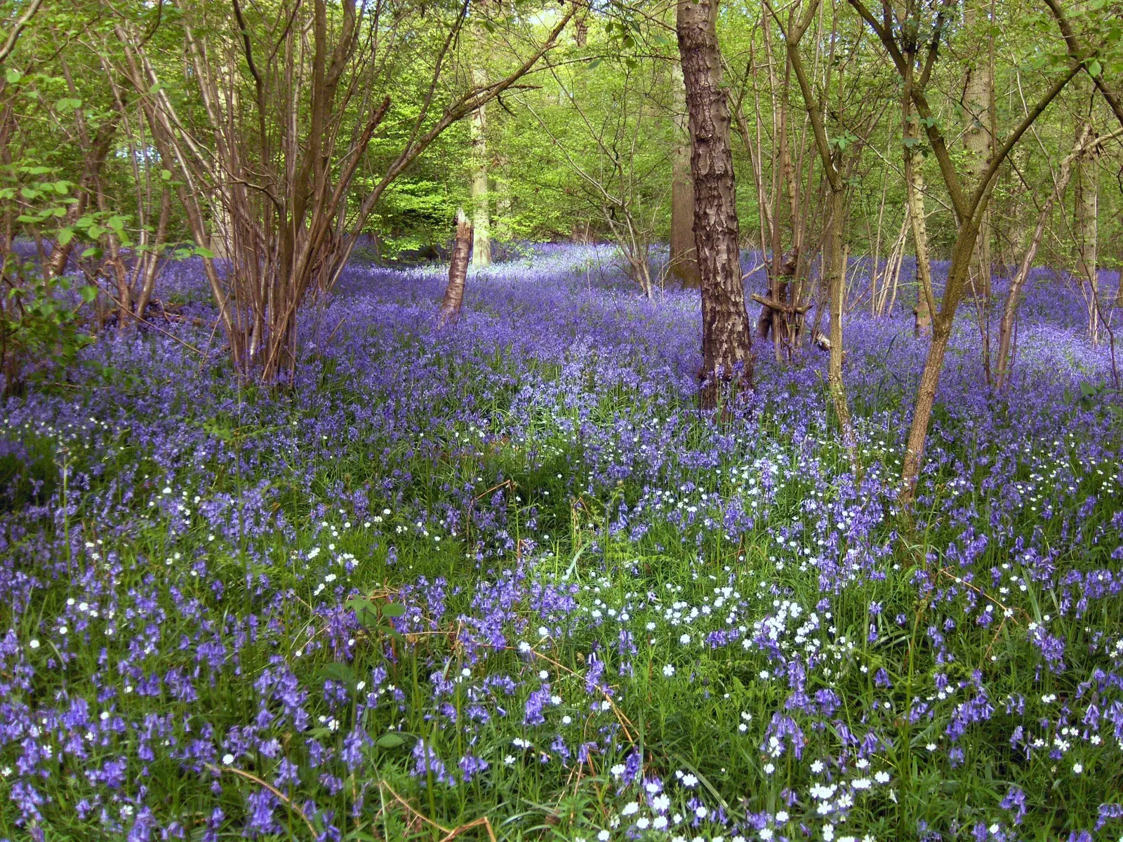 shutterstock 368270786