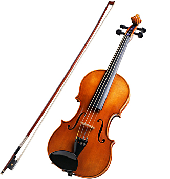 Viola 21833